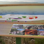 Ruta del Abrigo de las Monteses (6)